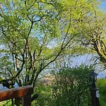 Casa de Férias Elbblick *